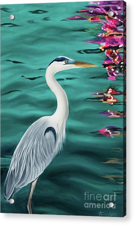Blue Heron - Acrylic Print