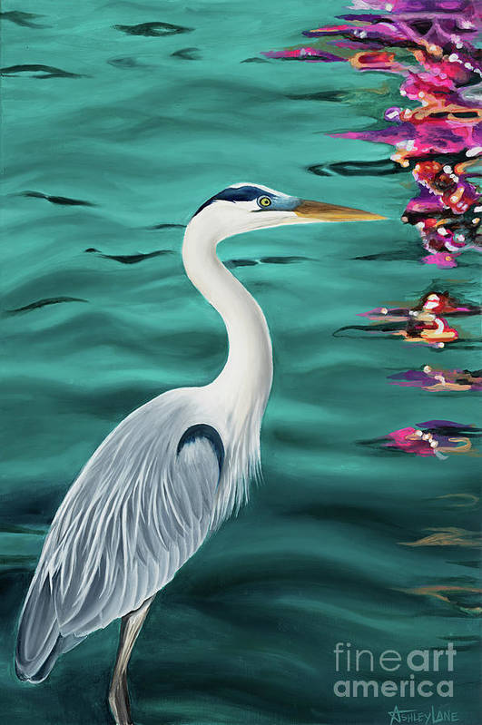 Blue Heron - Art Print