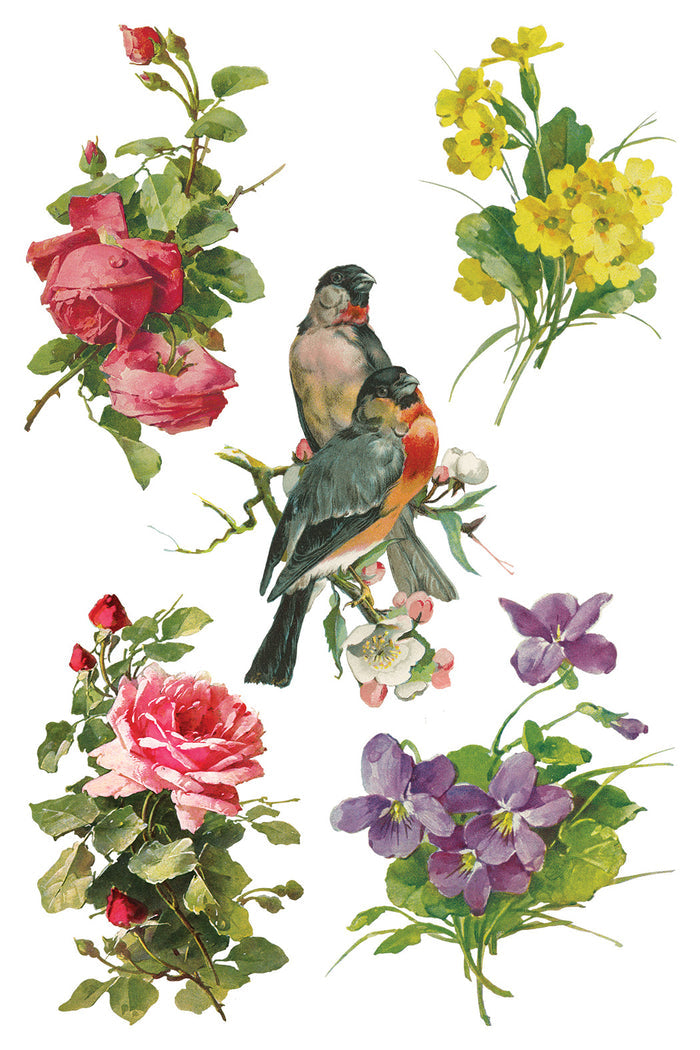 IOD Decor Transfer Catharina 8"X12" 8-Pages Pad by Iron Orchid Designs Catherina