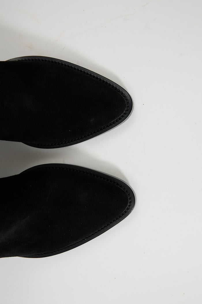Sterope Suede