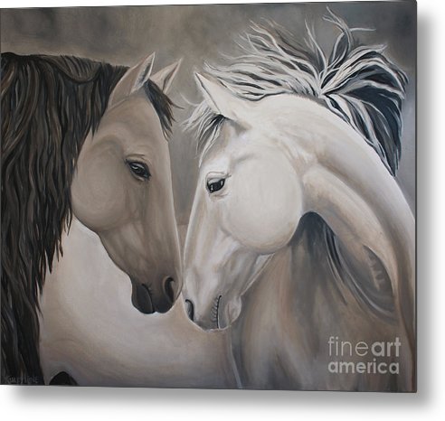 Wild Horses - Metal Print