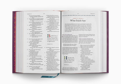 ESV The Biggest Story Holy Bible for Kids