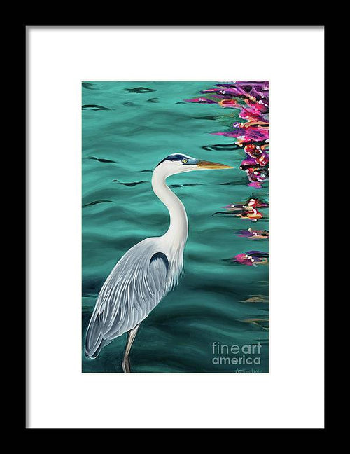 Blue Heron  - Framed Print