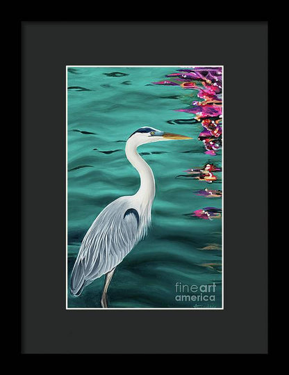 Blue Heron  - Framed Print