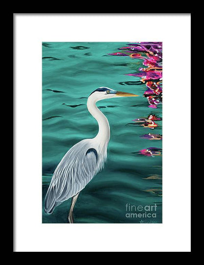 Blue Heron  - Framed Print
