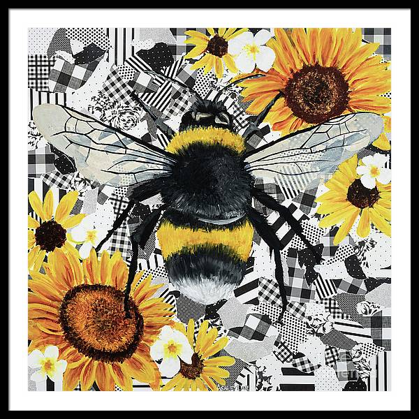 36" x 36" / Black / White