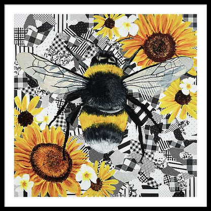 36" x 36" / Black / White