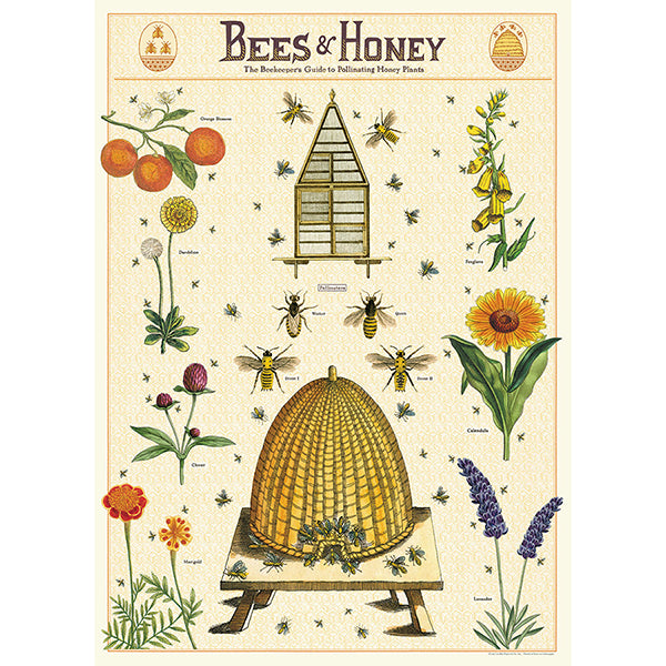 Cavallini Poster Bees & Honey2