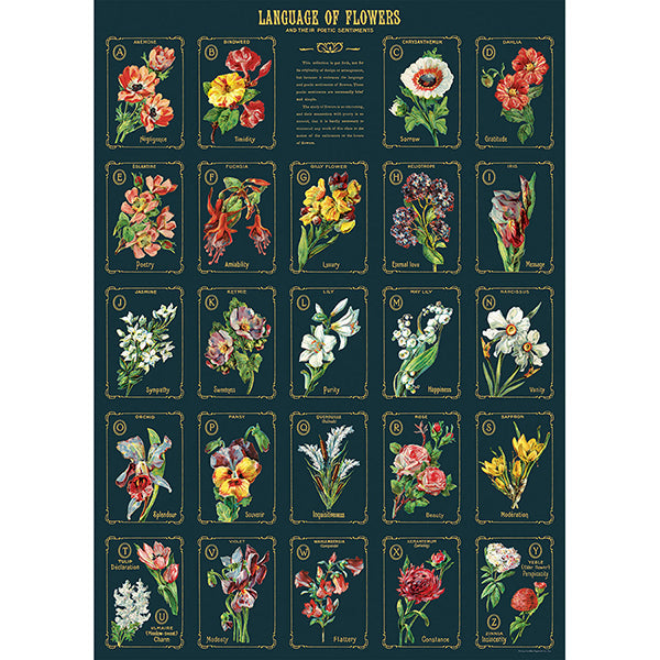 Cavallini Poster Language of Flowers2