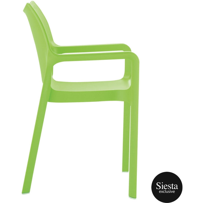 Diva Arm Chair
