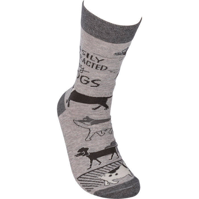 "Easily Distracted by Dogs" Socks #100-S320