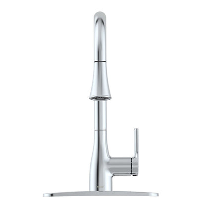 Flow Classic Kitchen Faucet Bidet