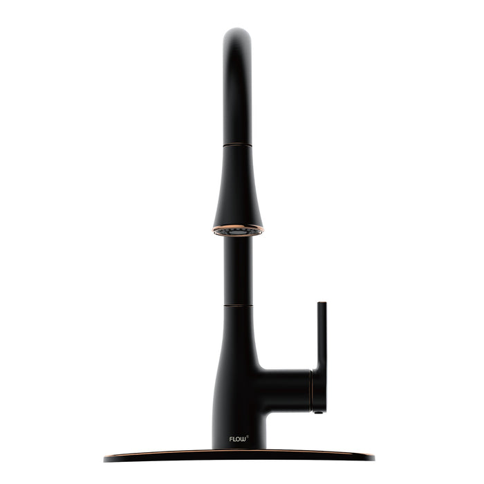 Flow Classic Kitchen Faucet Bidet