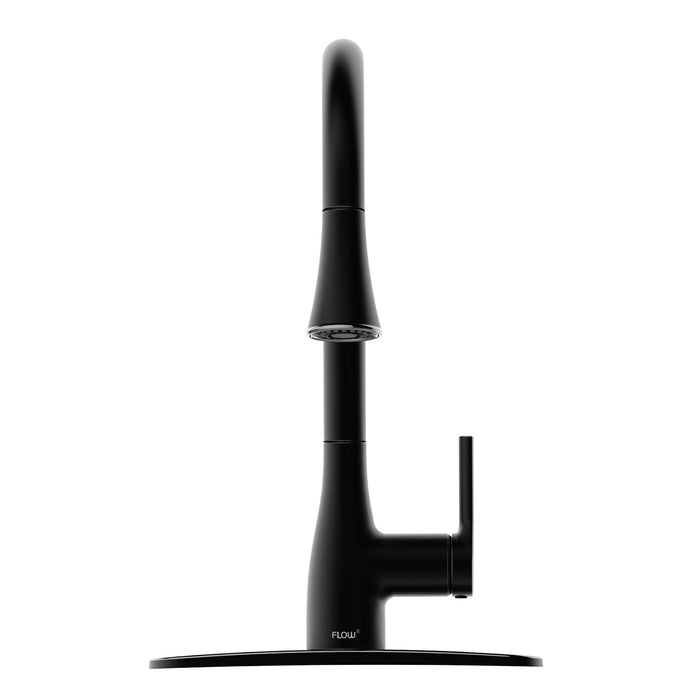 Flow Classic Kitchen Faucet Bidet