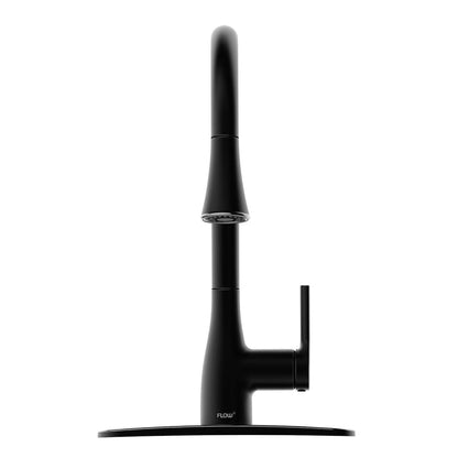 Flow Classic Kitchen Faucet Bidet