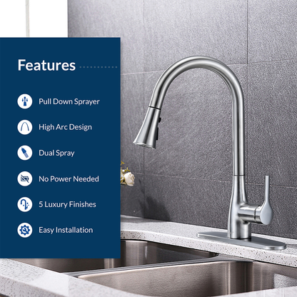 Flow Classic Kitchen Faucet Bidet