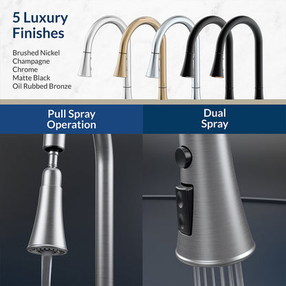 Flow Classic Kitchen Faucet Bidet