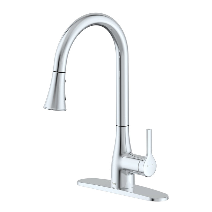 Flow Classic Kitchen Faucet Bidet