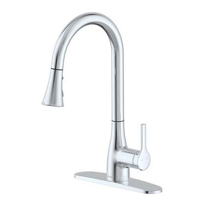 Flow Classic Kitchen Faucet Bidet