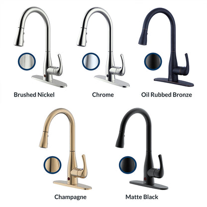 Flow Motion Activated Kitchen Faucet Bidet