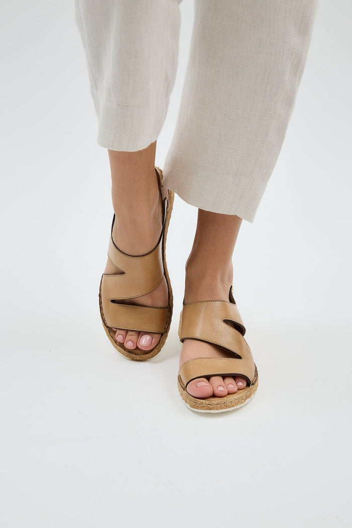Gina Apricot