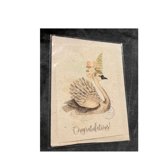 In the Land of Elsewhere Greeting Card Congratulations Swan