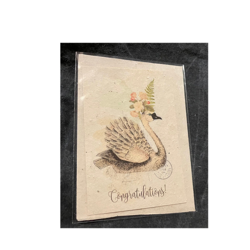 In the Land of Elsewhere Greeting Card Congratulations Swan