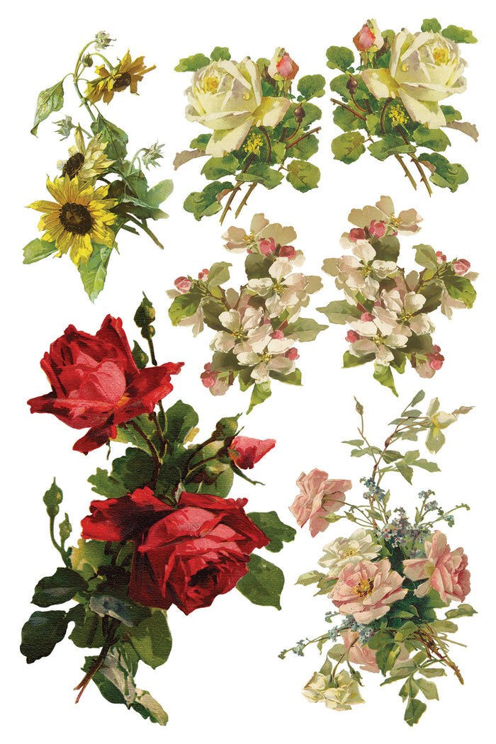 IOD Decor Transfer Catharina 8"X12" 8-Pages Pad by Iron Orchid Designs Catherina