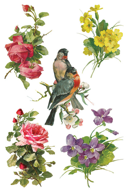 IOD Decor Transfer Catharina 8"X12" 8-Pages Pad by Iron Orchid Designs Catherina