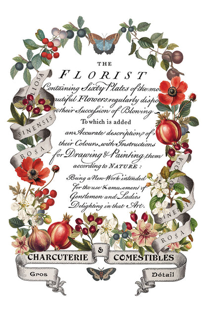 IOD Decor Transfer Clementine 8"X12" 8-Pages Pad by Iron Orchid Designs