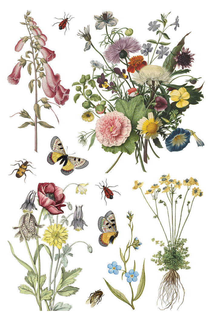 IOD Decor Transfer Wilde Bloemen 8"X12" 8-Pages Pad by Iron Orchid Designs