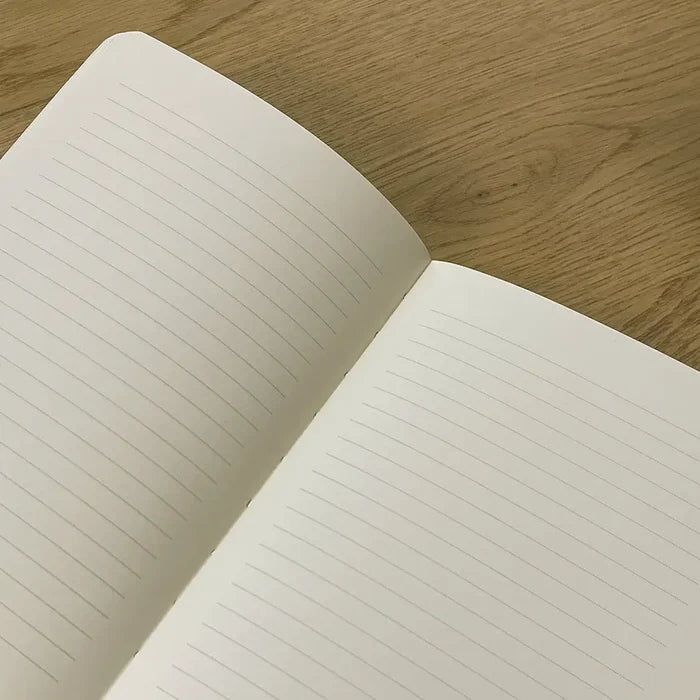 Journal: Ledger of Perceived Slights