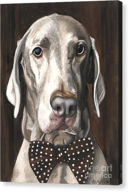 Klauss - Canvas Print