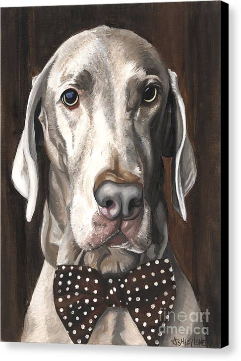 Klauss - Canvas Print