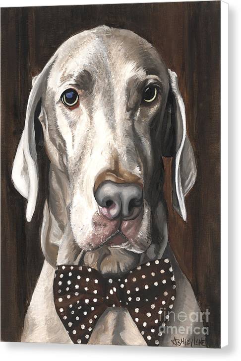 Klauss - Canvas Print