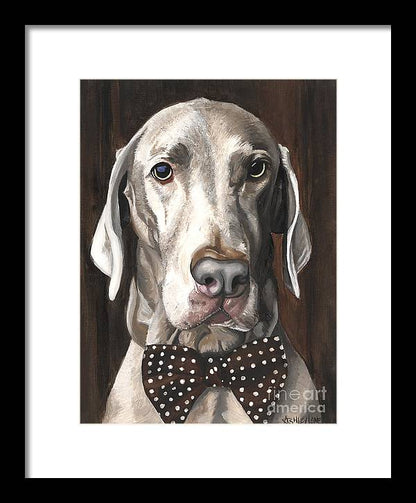 Klauss - Framed Print