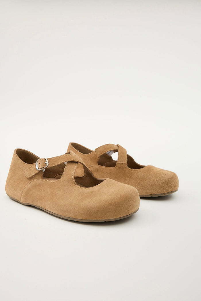 Laurel Camel