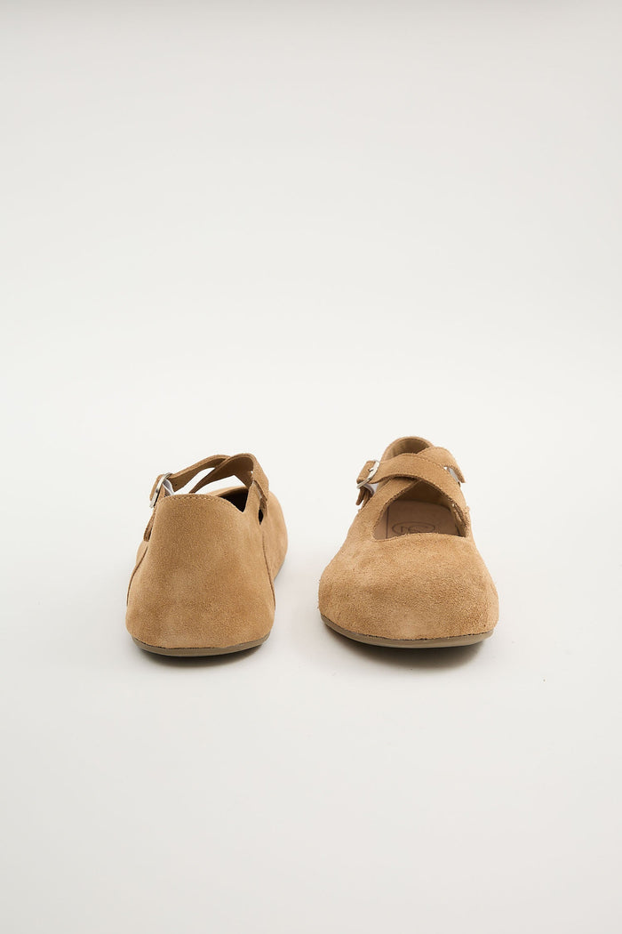 Laurel Camel