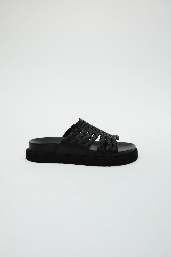 Petra Black