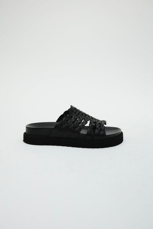 Petra Black