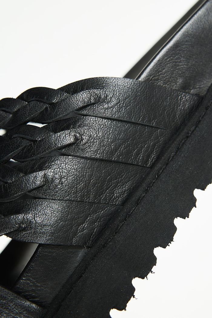 Petra Black