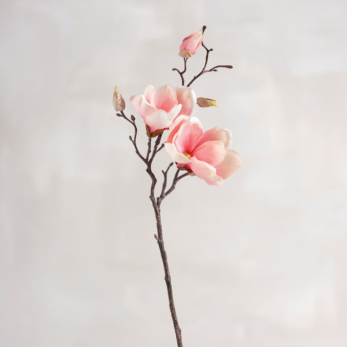 PICK - PINK MAGNOLIA SM #1611