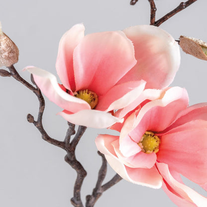 PICK - PINK MAGNOLIA SM #1611