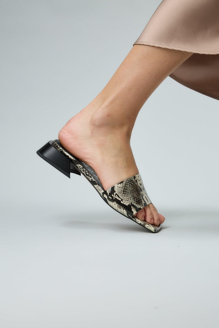 Snake Black