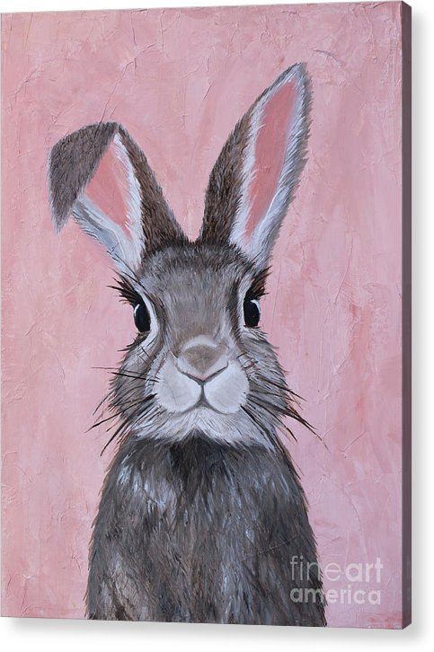 Sweetie - Acrylic Print