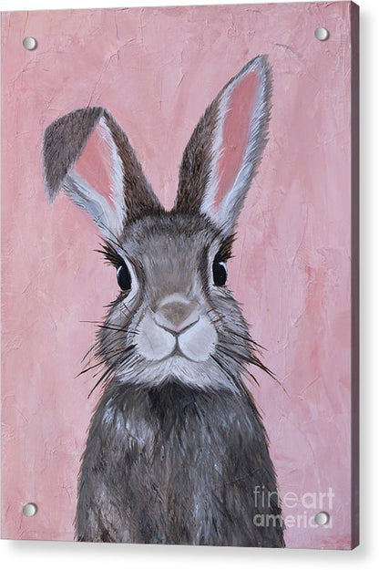 Sweetie - Acrylic Print