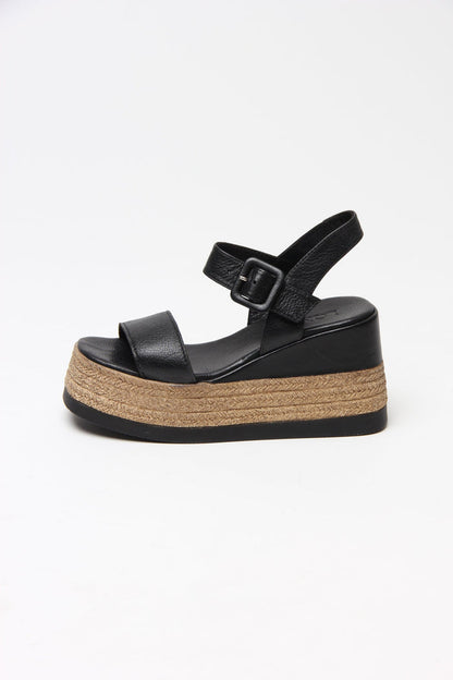 Venetia Black