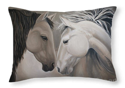 20" x 14" / No